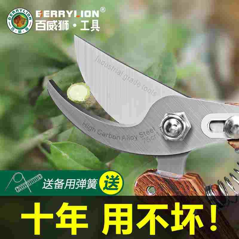 百威狮剪枝剪弹簧园林花艺修剪树枝药材果树剪刀粗大花剪园艺剪子