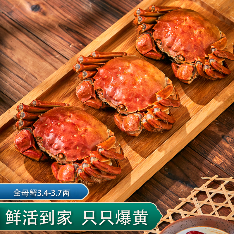 活蟹现货全母澄中岛大闸蟹3.4-3.7两水产鲜活河蟹旗舰店礼盒装