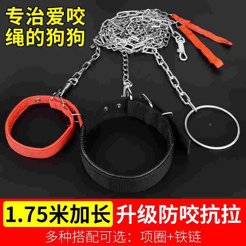 狗狗牵引绳铁链大型犬中型犬小型犬铁链项圈防咬断拴狗链子遛狗绳