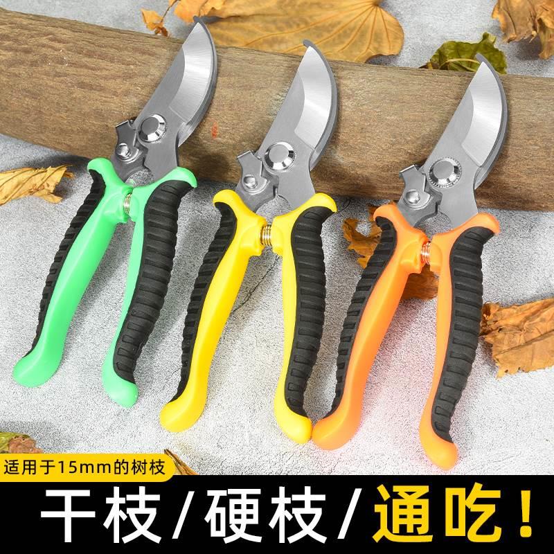 剪树枝剪刀专用花剪园艺园林修枝园丁剪嫁接强力采摘省力修水果树