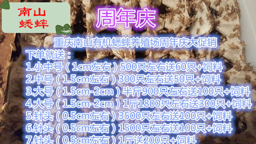 蛐蛐 蟋蟀 活体饲料 养殖场直发现货大中小针头爬虫鸟龟守宫食物