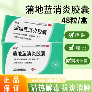 颐海 蒲地蓝消炎胶囊0.4g*48粒抗炎消肿疖肿咽炎扁桃体炎正品