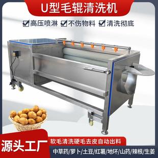 萝卜大姜毛辊去皮清洗机马铃薯芥菜毛刷冲洗机地瓜去泥清洗机器