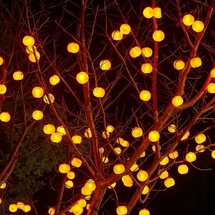 LED柿子灯串春节氛围柿柿如意太阳能柿子彩灯树挂庭院喜庆灯笼串