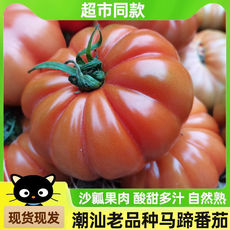 潮汕马蹄番茄新鲜现摘老品种大西红柿自然熟应季蔬菜孕妇水果5斤,水产肉类/新鲜蔬果/熟食,番茄,淘宝优惠券,粉丝福利购,淘宝优惠卷