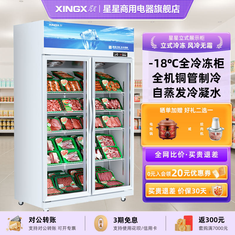 星星全冷冻展示柜商用立柜超市肉类急冻冰柜低温保鲜柜立式冰柜