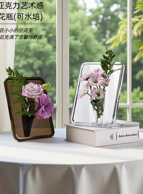 跨境ins 创意艺术相框花瓶亚克力透明插花器卧室客厅装饰摆件