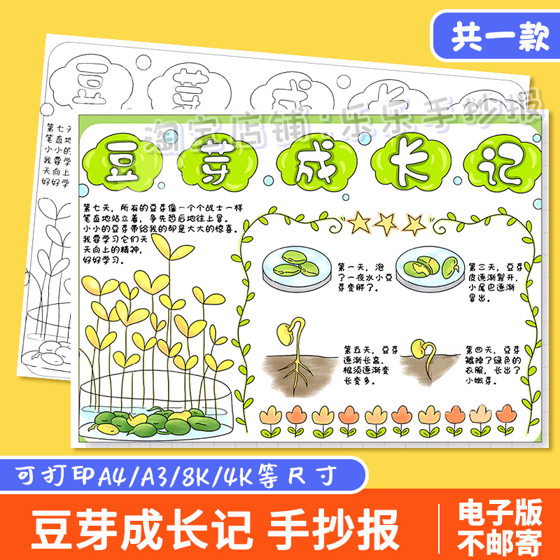豆芽成长记手抄报模板绿豆芽自然笔记植物生长记录线稿电子版小报