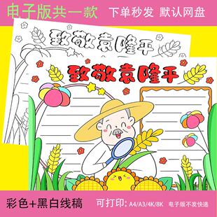 杂交水稻之父袁隆平手抄报模板小学生学习榜样模范先锋杰出人物a4