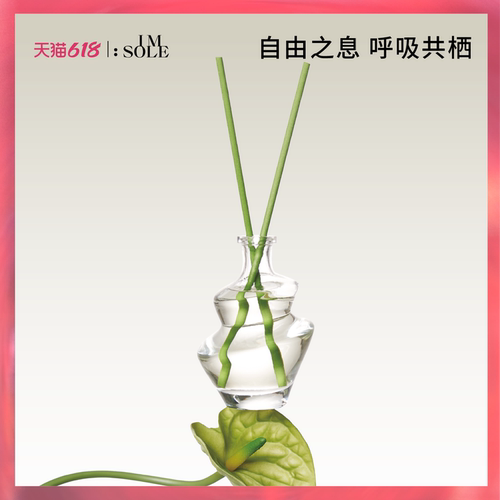IMSOLE不定所无火香薰