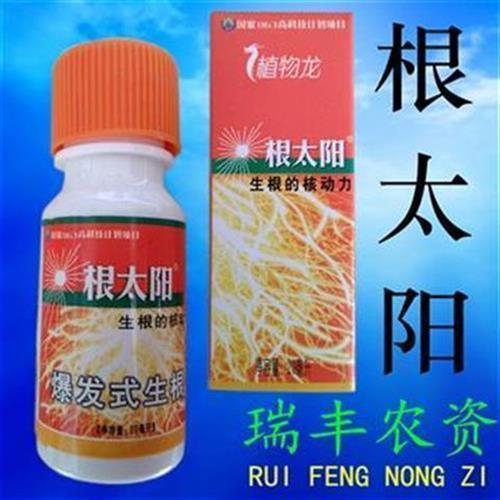 根太阳扦插生根苗木移栽爆发式生根剂壮苗生根的核动力20ml