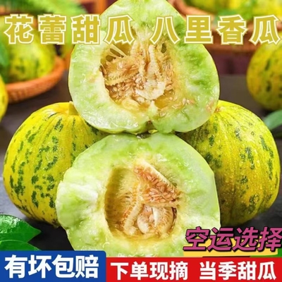 香瓜甜瓜新鲜东北香瓜八里香香瓜绿宝石吉林现摘脆甜花姑娘孕妇
