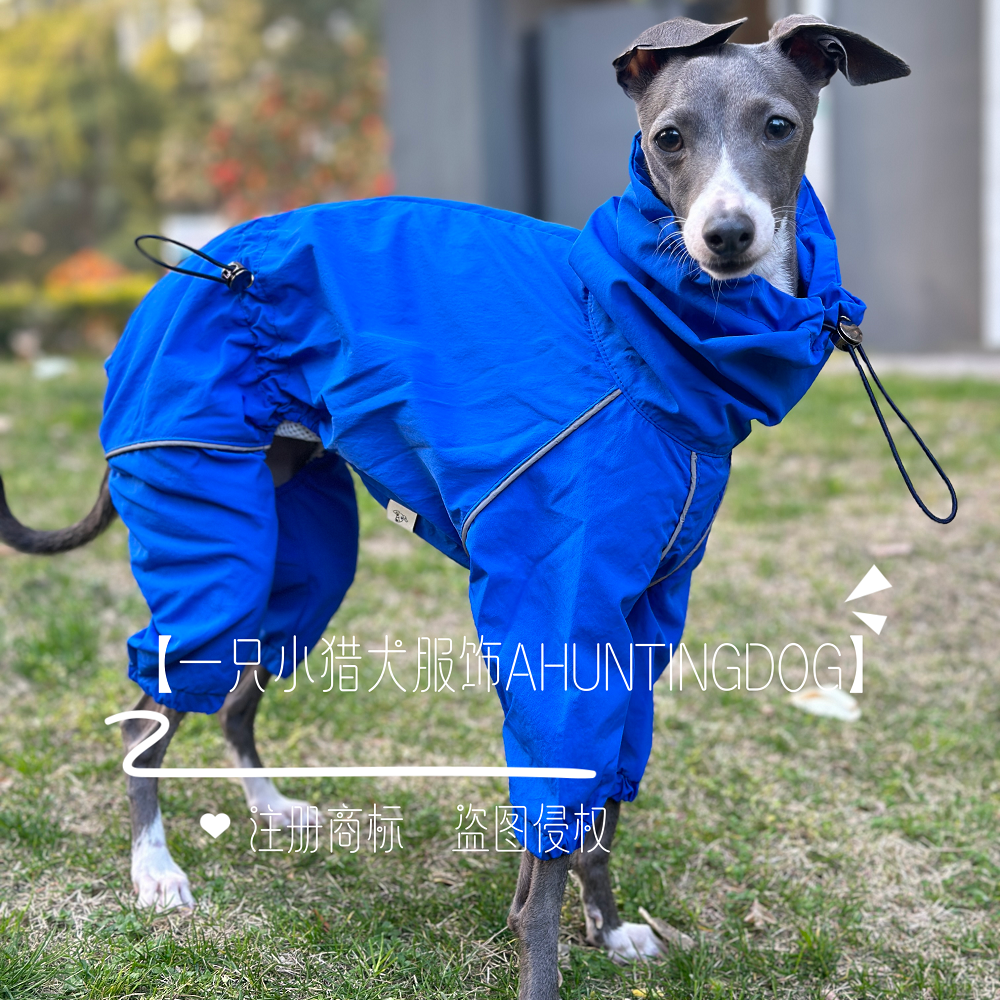 春夏轻薄四脚雨衣防风防雨冲锋衣内里网纱透气小灵缇惠比特衣服