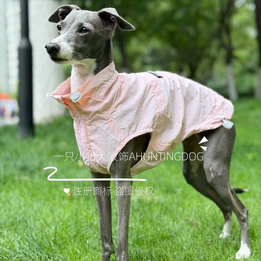 一只小猎犬凉感防晒衣轻薄防晒UPF100意大利小灵缇惠比特衣服