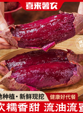 2025年新山东紫薯新鲜烟薯番薯农家地瓜板栗代餐粗粮山芋紫心红薯