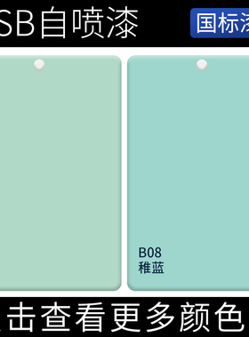 GSB国标机械油漆B07/B08/B09/B10/B11/B12金属防锈漆划痕翻新漆