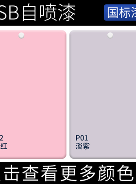 漆先生GSB喷漆RP02淡粉红P01淡紫手办模型上色设备机械专用翻新漆