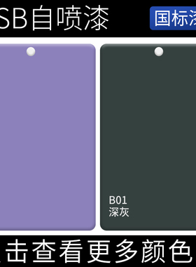 漆先生GSB户外P02紫色漆B01深灰模型上色设备机械翻新涂鸦DIY喷漆