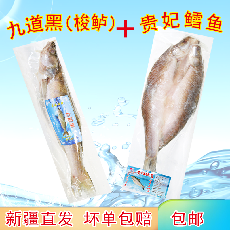 九道黑梭鲈贵妃鳕鱼新疆冷水鱼