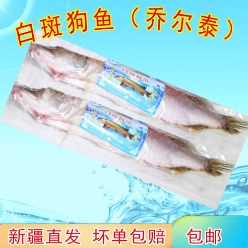 白斑狗鱼福海特产乔尔泰净膛包邮