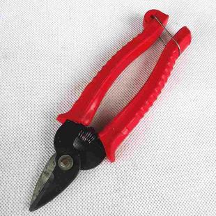 弹簧剪刀 修枝剪 园艺剪 小树枝剪刀 小枝剪