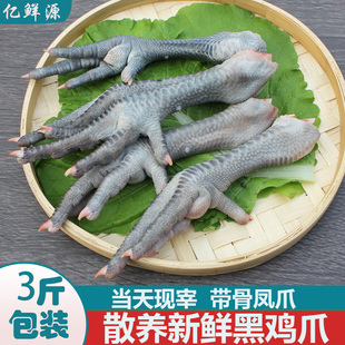 黑鸡爪新鲜现杀土鸡脚3斤装 鸡爪子非无骨商用冷冻柠檬泡椒生凤爪