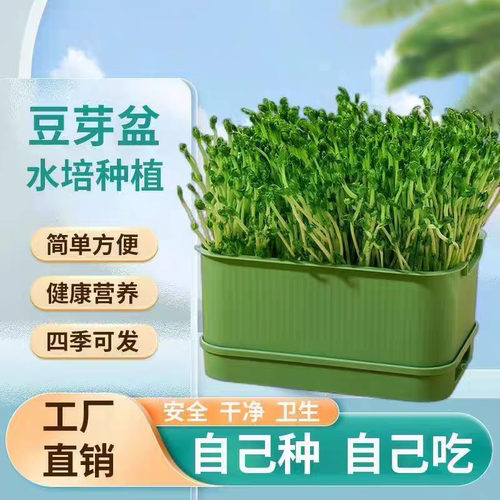家用豆芽发芽盆食品级绿豆芽种植箱专用育苗盘生黄绿豆芽育豆苗盒