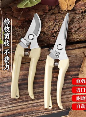 园林专用修枝剪自动回弹弯嘴弹簧剪子修枝条果蔬剪不锈钢剪修花卉