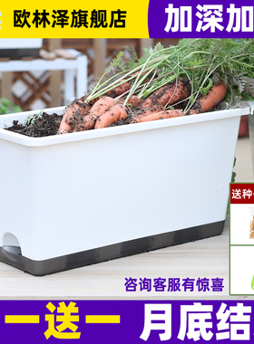 阳台种菜盆加深塑料长方形蔬菜种植自吸水专用箱神器草莓花盆大号