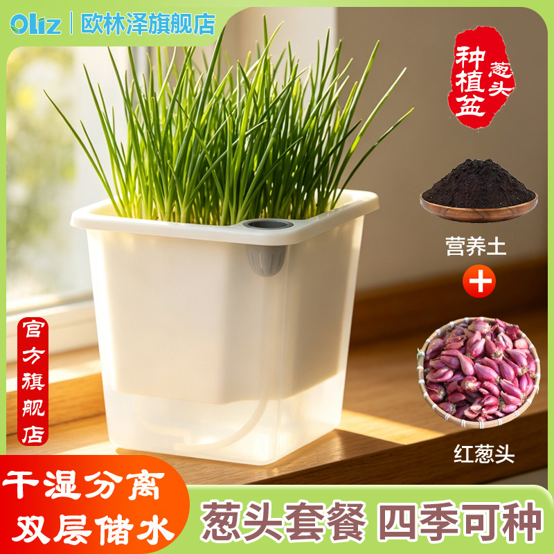 欧林泽种菜盆太阳花花盆营养土套餐猫薄荷专业种植盆懒人吸水花盆图片