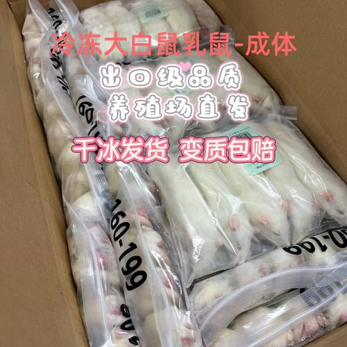 无菌大白鼠新鲜冷冻乳鼠红皮粉皮猫粮爬宠蛇饲料蜥蜴角蛙龟粮包邮