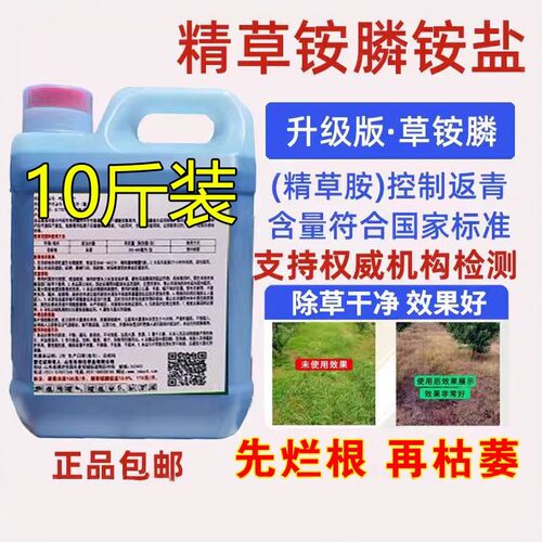速草霸10%精草铵膦铵盐除草剂