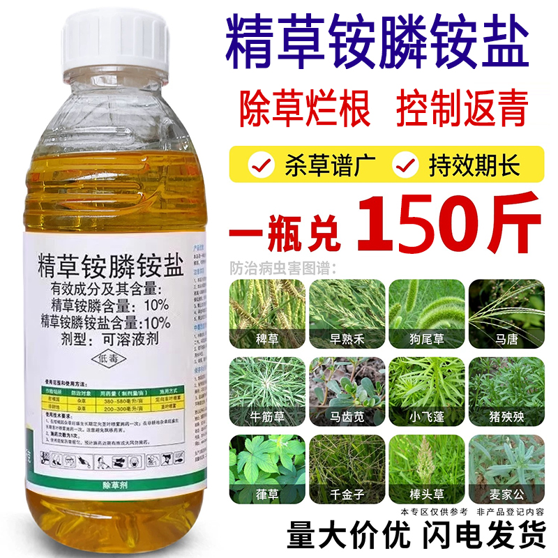 精草胺磷铵盐除草剂果园茶园除草荒地杂草牛筋草一扫光小飞蓬农药
