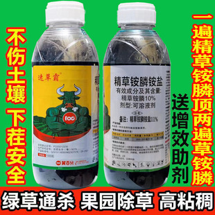 精草铵膦铵盐草安草铵磷草胺磷牛筋草小飞蓬农药强力除草剂