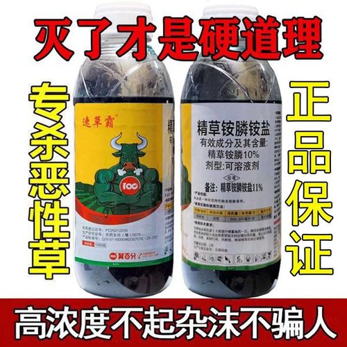 速草霸精草铵磷铵盐除草彻底