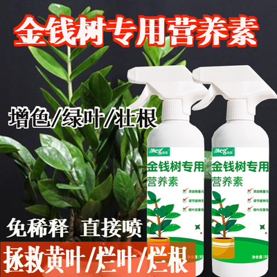 金钱树肥料专用液植物通用盆栽