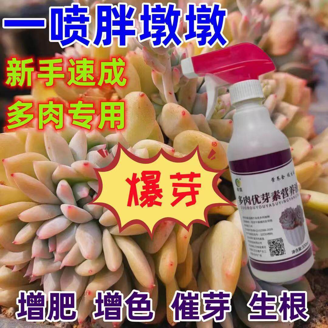 优芽素多肉专用促生长催芽增色矮胖素发芽素多肉营养液兰花爆芽素