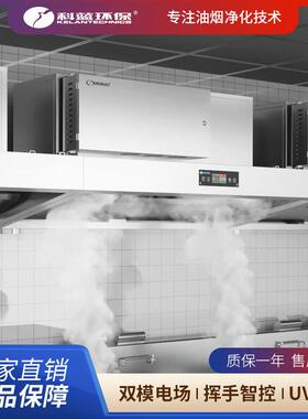烟罩一体机不锈钢蒸汽清洗商用厨房饭店油烟净化工厂现货