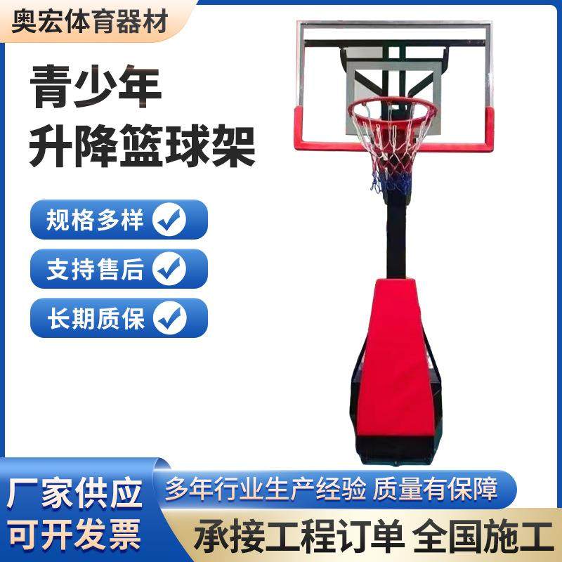 青少年升降篮球架室内室外可升降篮球架可扣青少年篮球架移动篮架