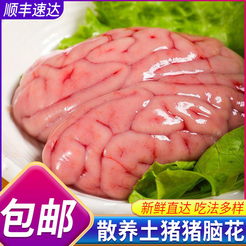 猪脑花新鲜脑子火锅食材