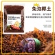 寄居蟹专用湿椰土免泡直接用保湿 苔藓饲养箱爬宠天然垫材垫料无菌