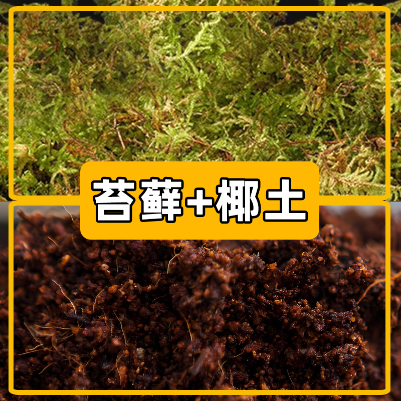 无菌椰土垫材乌龟蜘蛛蝎子爬虫角蛙蜗牛保湿苔藓免泡直接用