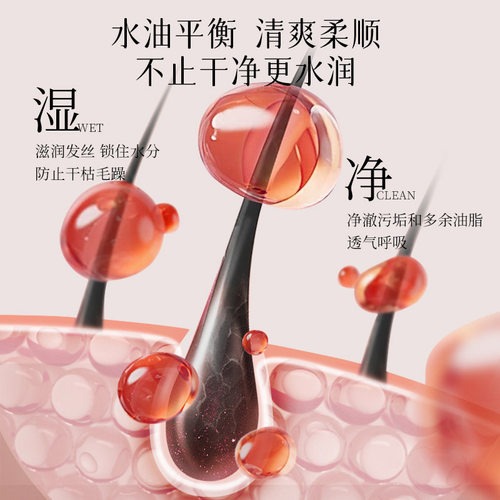 博士春天燕窝蛋白肽丝滑柔顺香氛洗发乳留香控油蓬松洗发露厂家