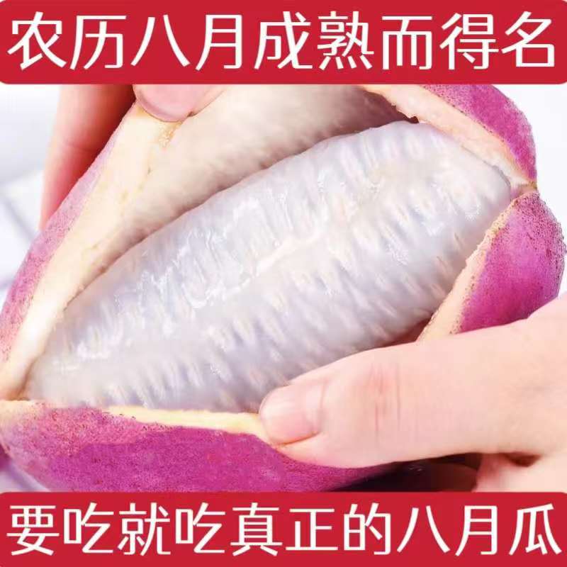 新鲜水果八月瓜甜八月炸安徽特产当季野生木通果现摘5斤整箱包邮