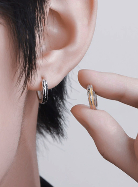 新款s925纯银耳环男士气质高级感轻奢女款潮流防过敏耳圈正品爆款