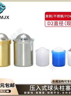 PFPPN/PFSSN球头柱塞不锈钢GN614碰珠PFPBN压入BSZP定位波珠BSJT
