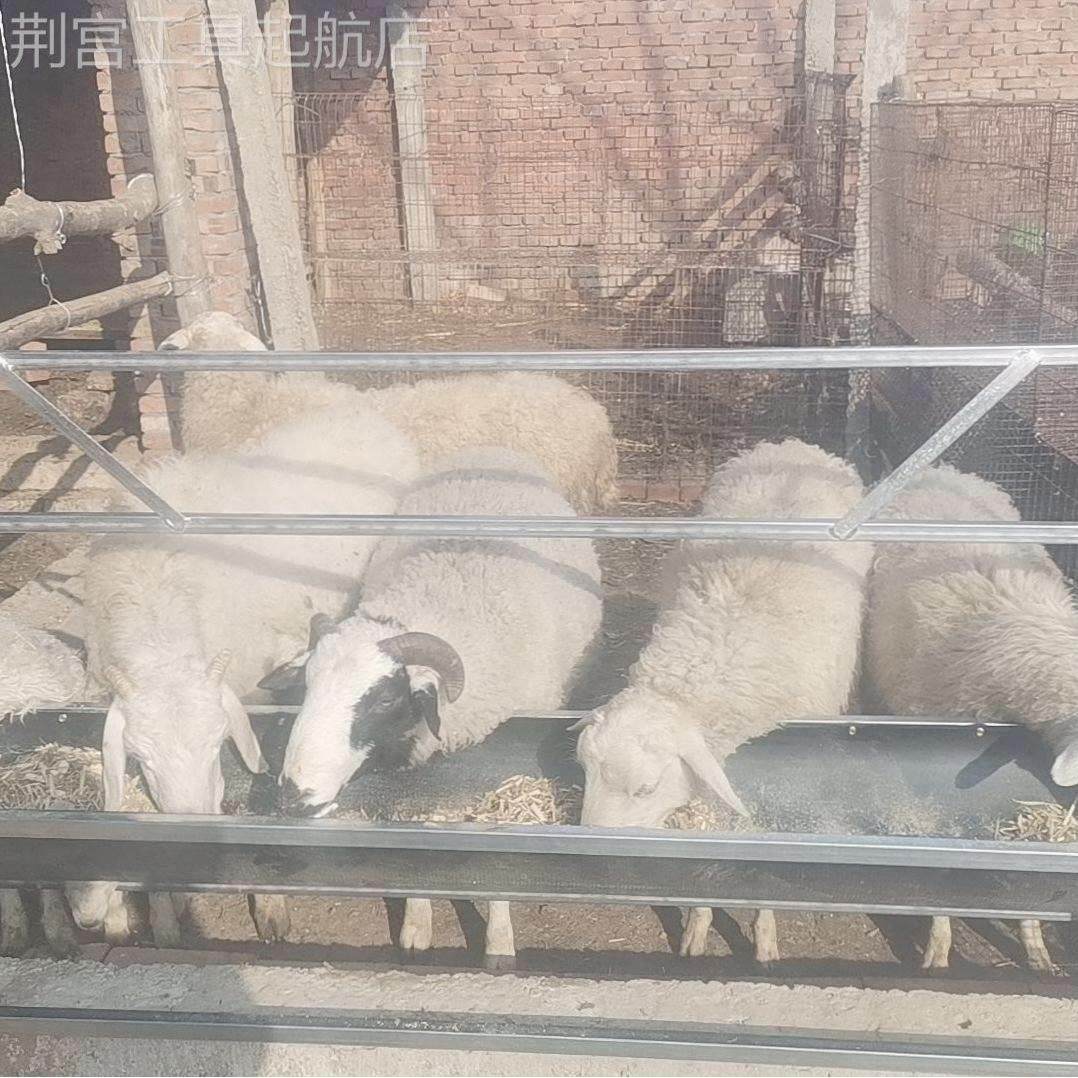 羊槽单面转喂羊食单槽胶皮输送带可翻喂水槽带架子单面羊槽翻槽转,搬运/仓储/物流设备,其他起重搬运设备,淘宝优惠券,粉丝福利购,淘宝优惠卷