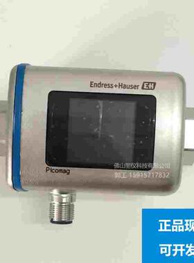 E+H 电磁流量计 DMA15，DMA20，DMA25，DMA50 涡街 质量流量计10L