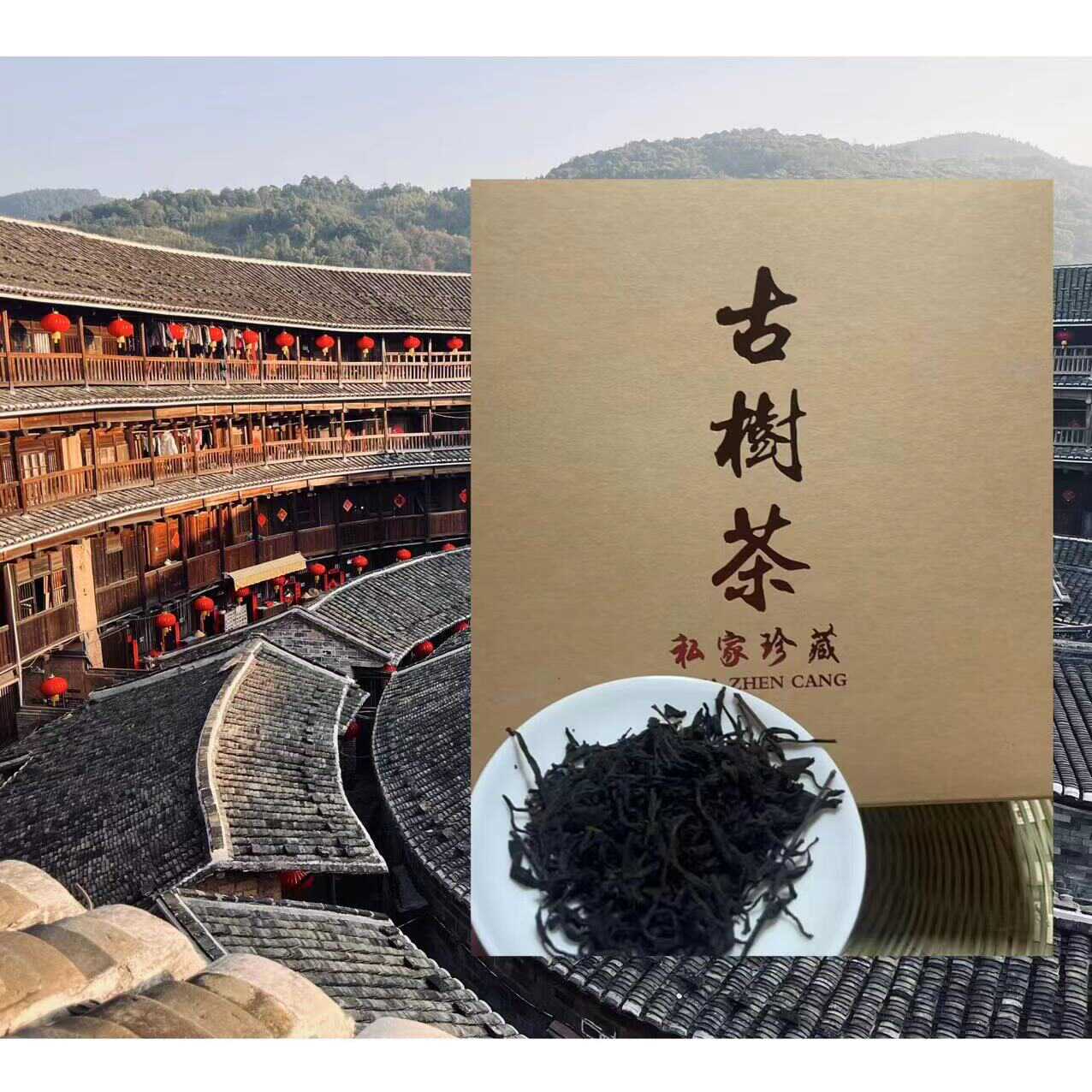 土楼百年古树茶自然生长养生茶