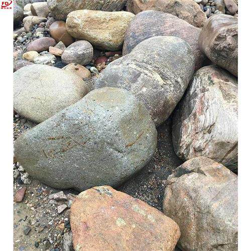 鱼缸鹅卵石大块。石子特大庭院养鱼公园植物石脚踩草坪室内外石头